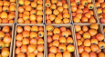 Казахстан готов снять  ограничения на ввоз продукции из Кыргызстана