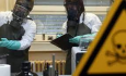 Зачем военные США изучали коронавирусы летучих мышей
