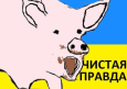 Туркменистан возмущен украинским хамством: заявление МИД 
