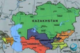 Самарканд в цвете: как один художник создаёт новый визуальный язык Узбекистана