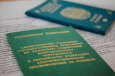 Сколько соотечественников переселилось в Россию?