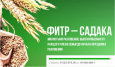 Кому и зачем выплачивается фитр-садака в месяц Рамазан? Ответы на восемь главных вопросов 