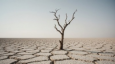 Дефицит воды в Центральной Азии стал жестким барьером для роста экономики